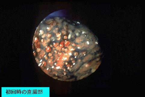 画像ID:988