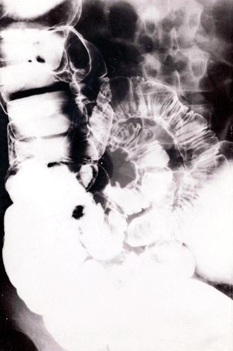 画像ID:551