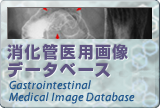 消化管医用画像データベース