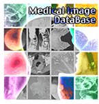 Medical Image Database